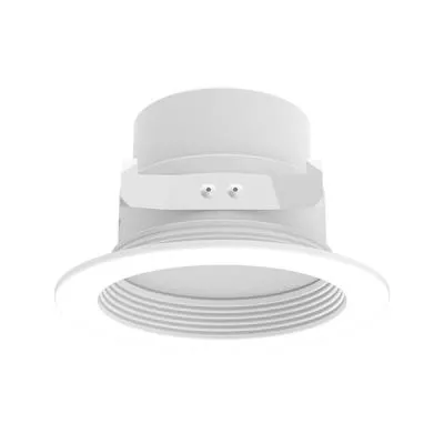4" Downlight