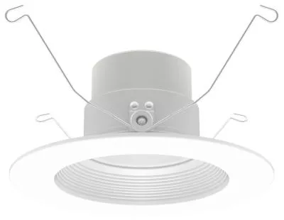 6" Downlight
