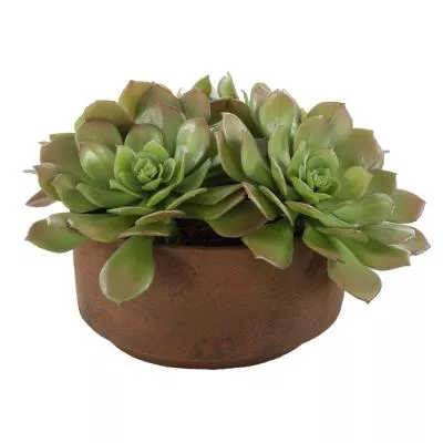 Accent In Pot