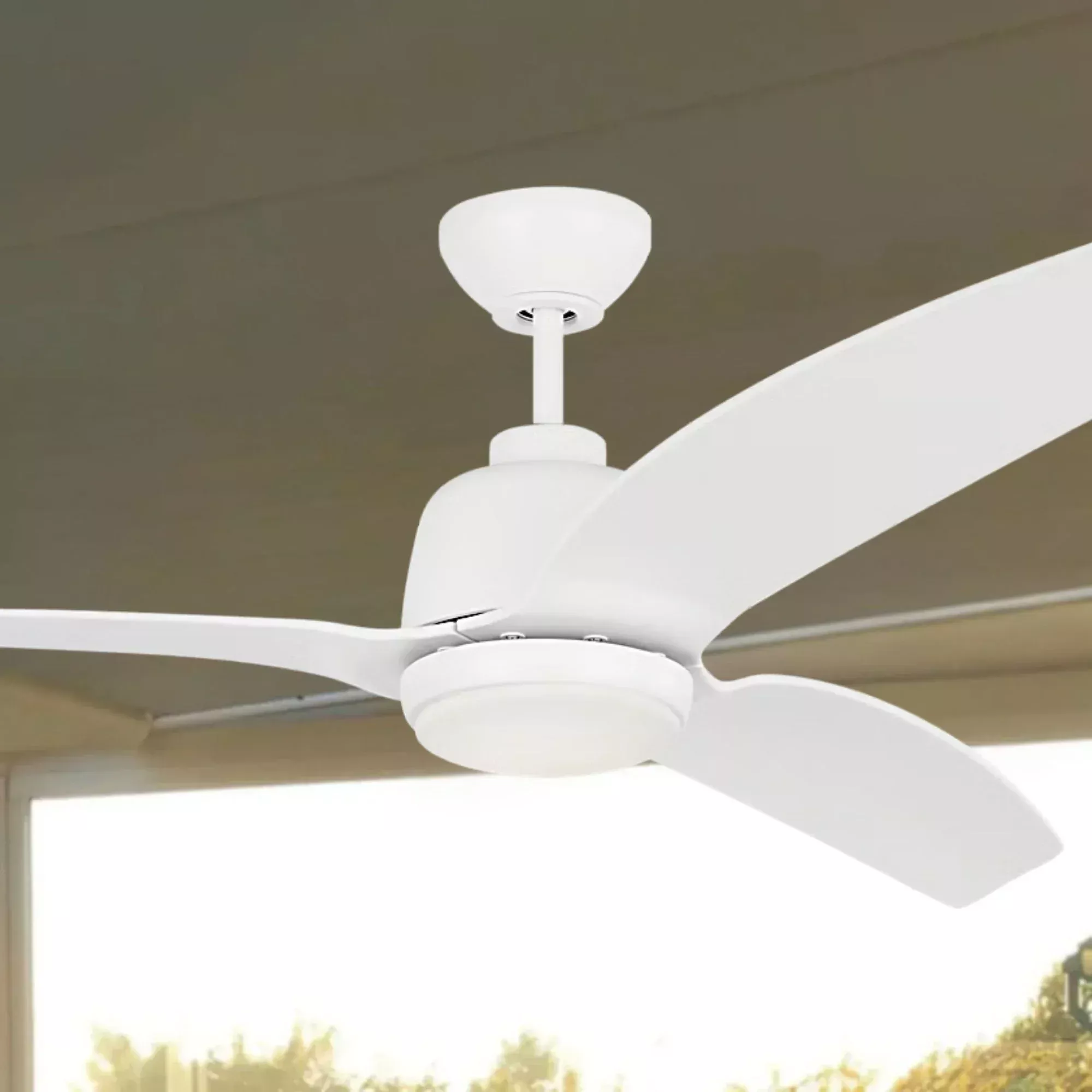 Avila Coastal 60" Ceiling Fan