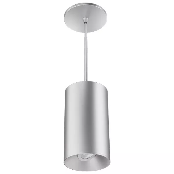 ELCO Lighting E429PS-13SD 4-Inch LED Adjustable Module, 1350 lm, 38°