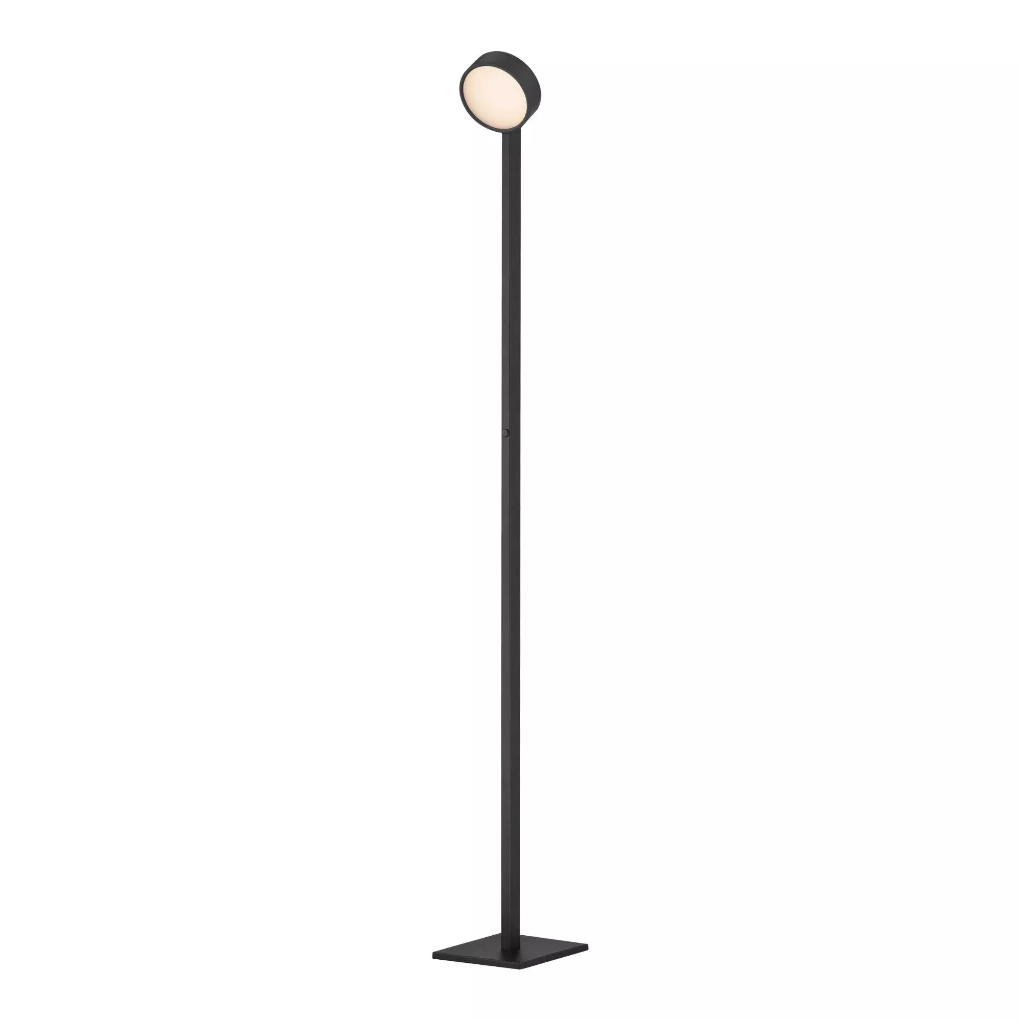 ET2 Embrace 64.75 in. Floor Lamp, Black