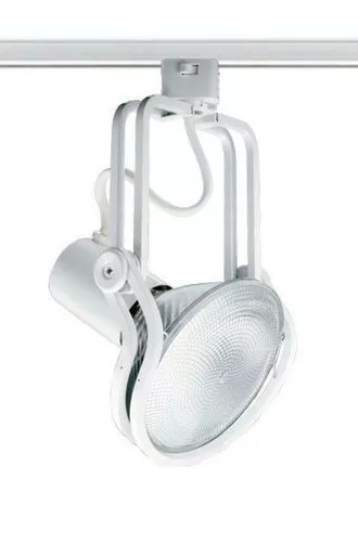 Juno Lighting T437SL Trac-Master Wireform PAR38 Track Light, Silver