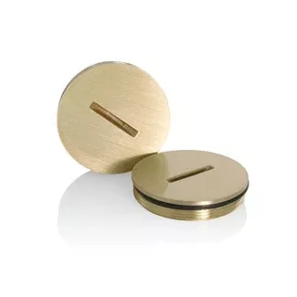Leviton Replacement Screw Cap With O-Ring For Duplex Floor Box Brass With Clear Coating (25249-CAP)