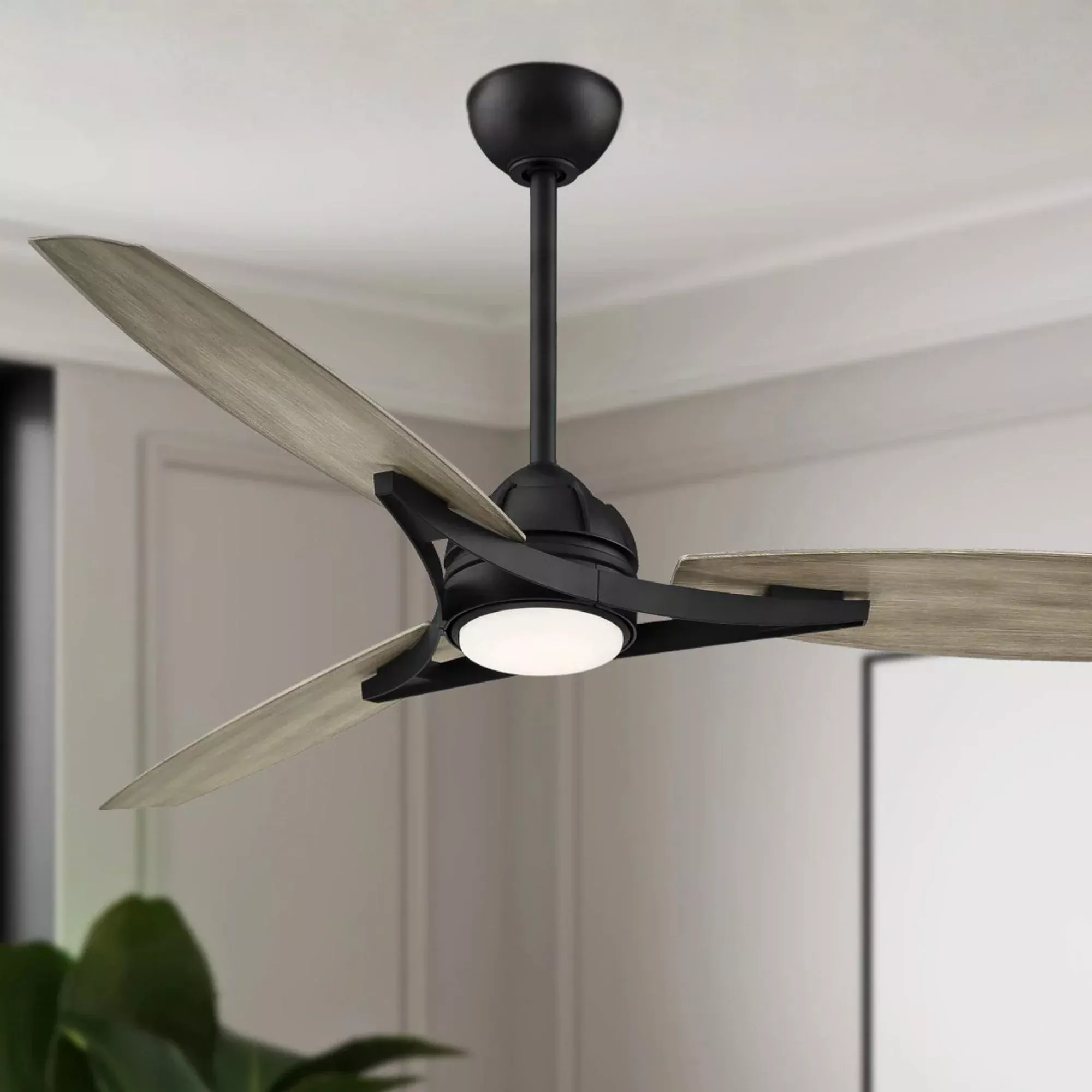 Molino 65" Ceiling Fan