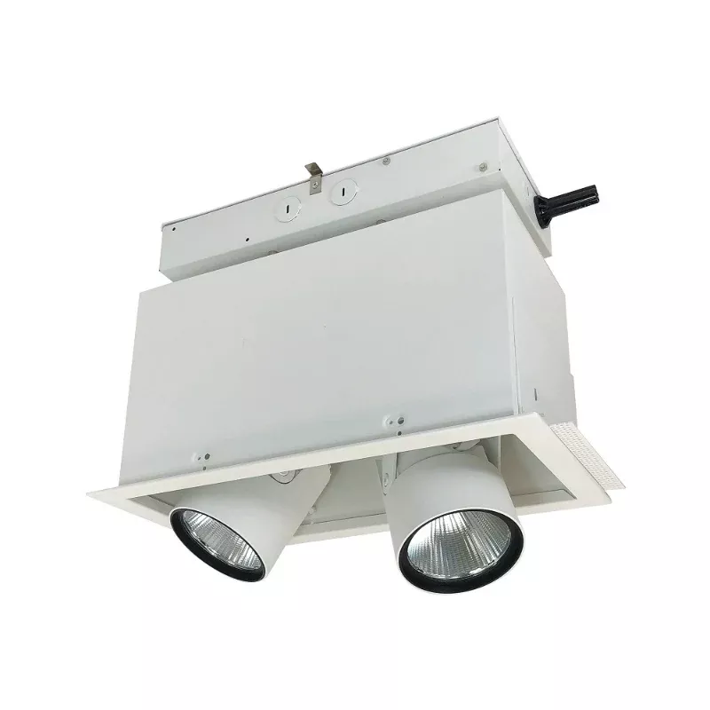 Nora NMRTLGPD-12 2 Heads Pull-Down Adjustable LED Trimless Mulitple Lighting System, 277V