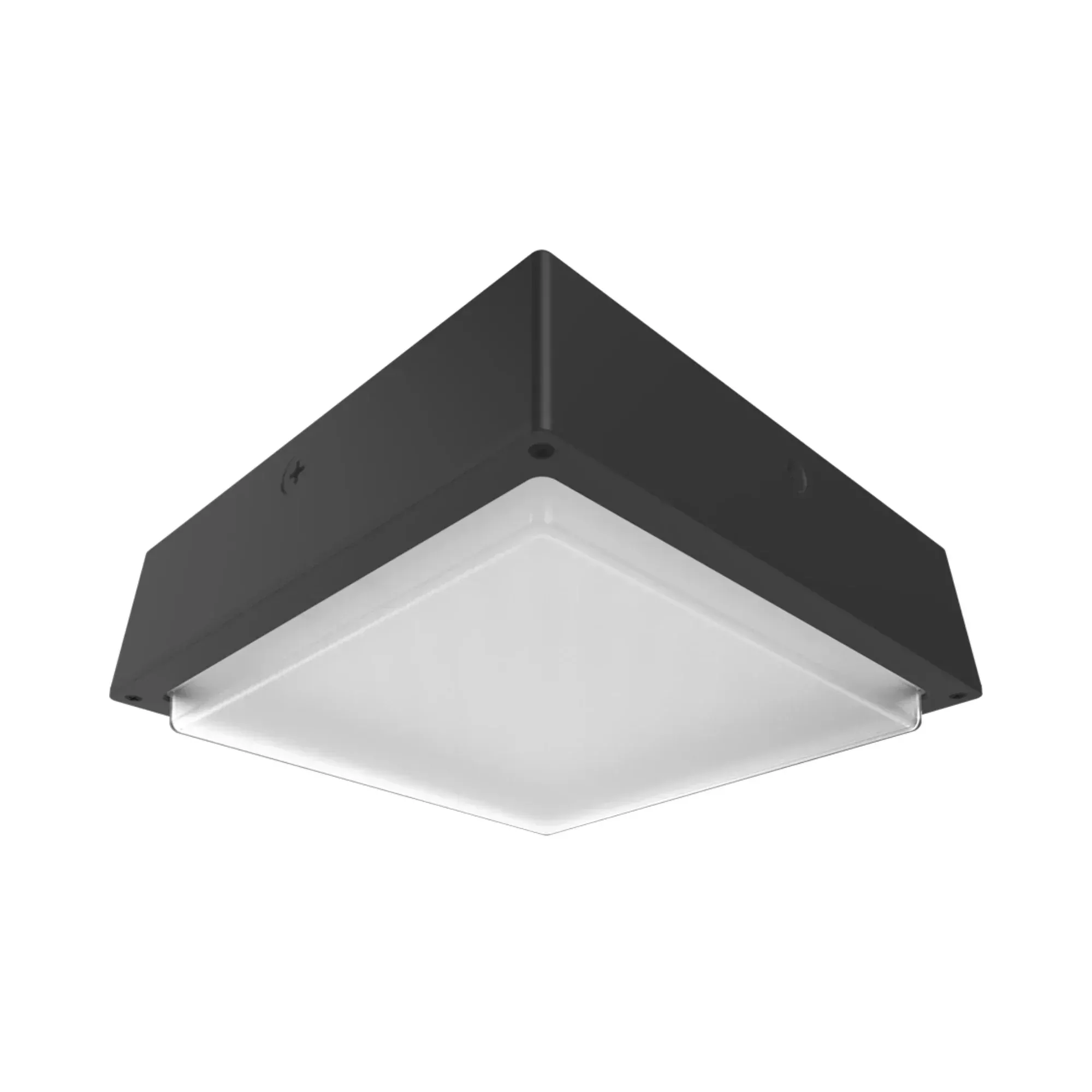 RAB VAN34 Field Adjustable Canopy Light