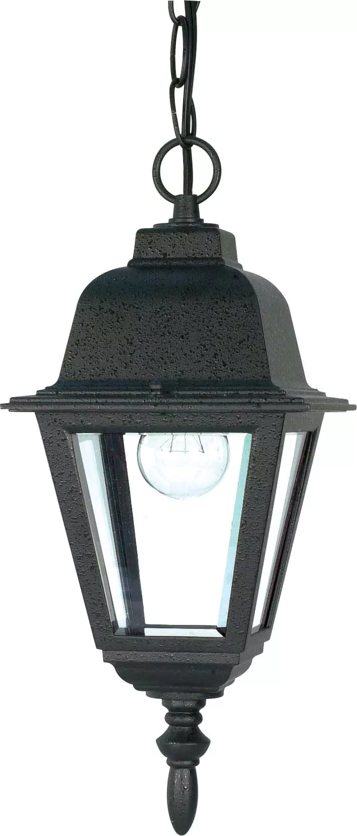 SATCO/NUVO Briton 1-Light 10 Inch Hanging Lantern With Clear Glass (60-489)