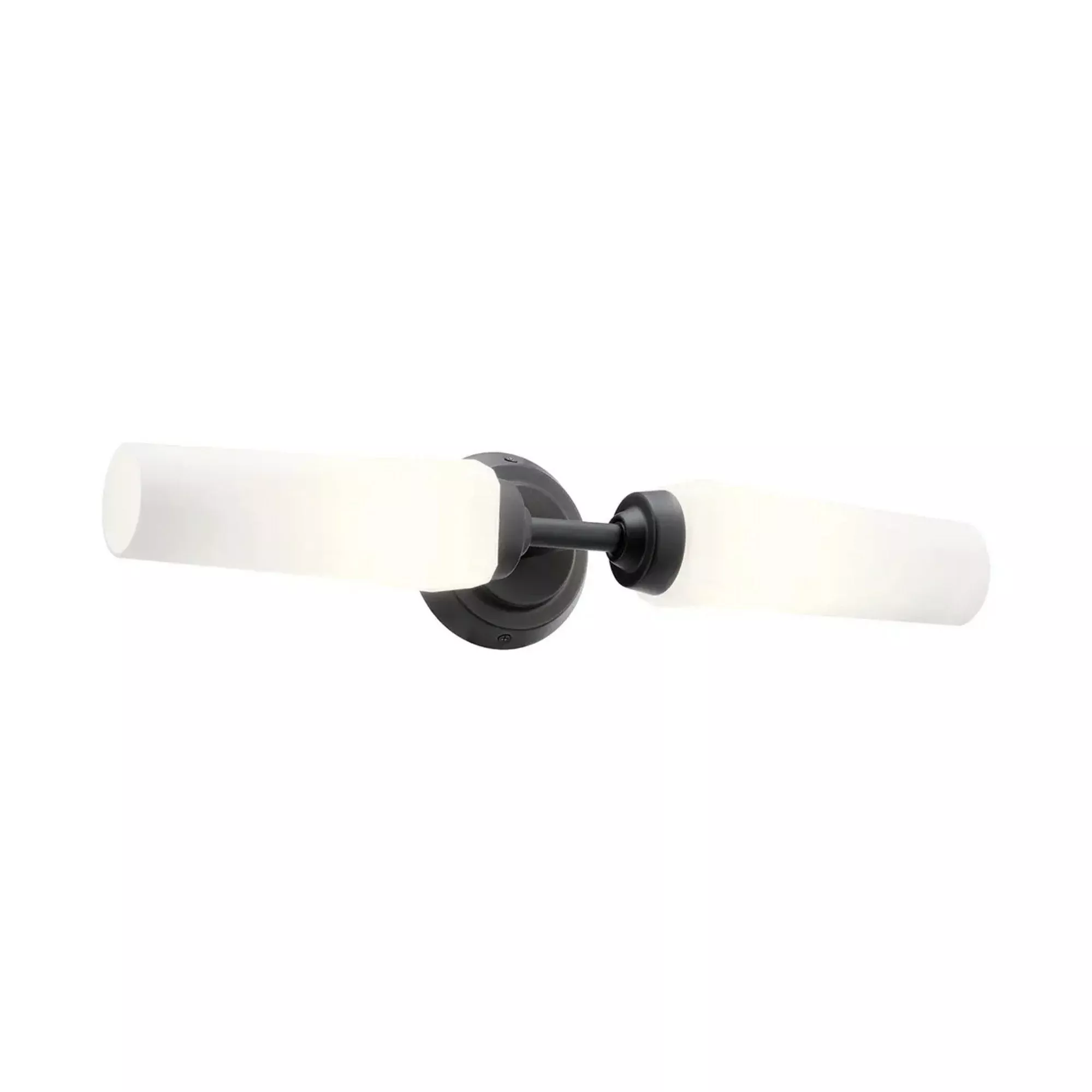 Truby 20.75 in. 2-Light Bathroom Vanity Light, Black
