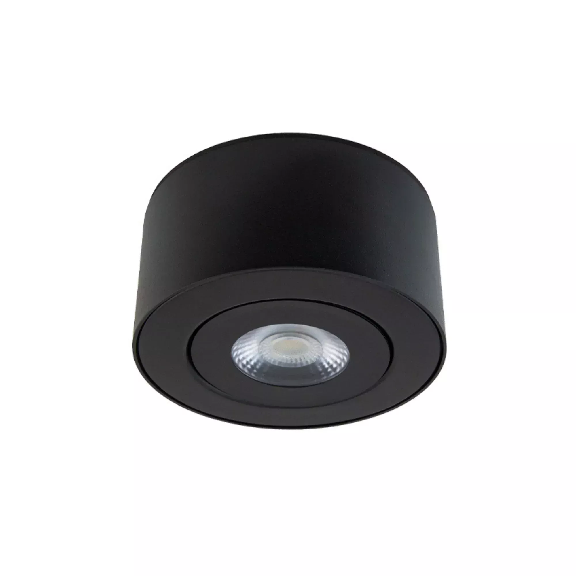 WAC Lighting Peek 4.88 in. Outdoor Ceiling Light, Black with Acrylic Diffuser